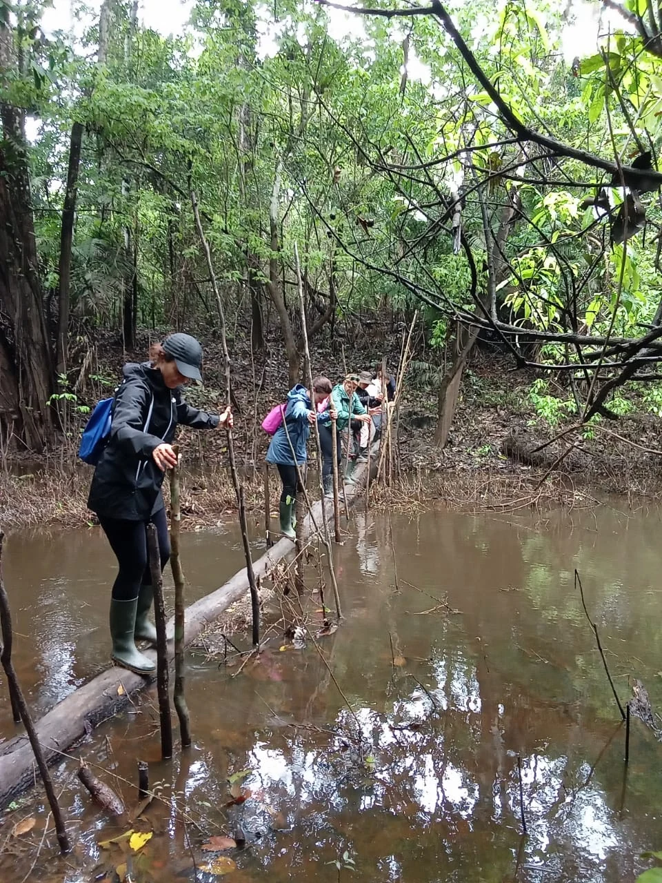 Viajeros cruzando una pasarela de madera sobre el agua en Vista Alegre