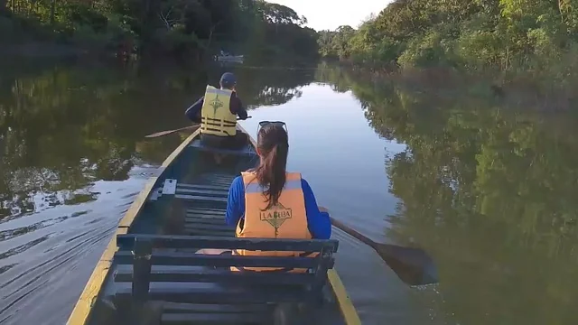 Recorrido en canoa entre las orillas de la selva